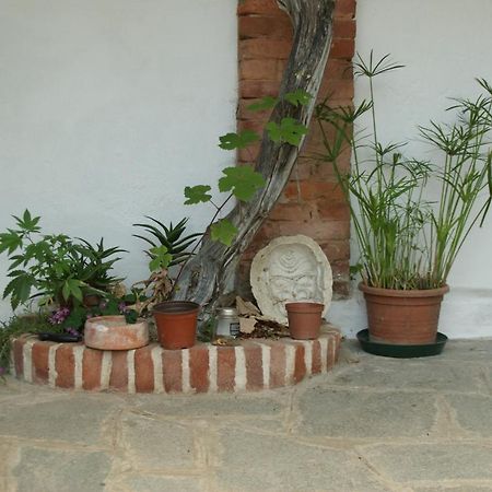 Villa Maddalena Bra Exteriér fotografie